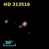 HD 313516
