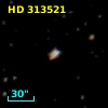 HD 313521
