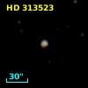 HD 313523