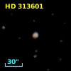 HD 313601