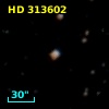 HD 313602