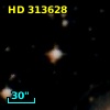 HD 313628