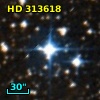 HD 313618