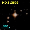 HD 313609