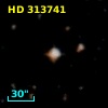 HD 313741