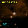 HD 313739