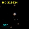 HD 313624