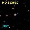 HD 313610