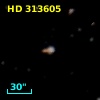 HD 313605