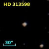 HD 313598