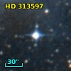 HD 313597