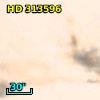 HD 313596