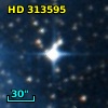 HD 313595