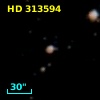 HD 313594