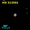 HD 313591