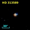HD 313589