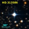 HD 313586