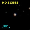 HD 313583