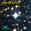 HD 313713