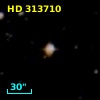 HD 313710