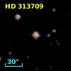 HD 313709
