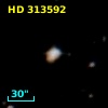 HD 313592