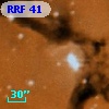 RRF   41