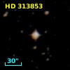 HD 313853