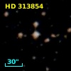 HD 313854