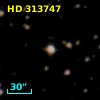 HD 313747