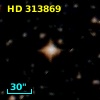 HD 313869