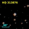 HD 313876