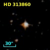 HD 313860