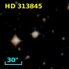 HD 313845