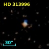 HD 313996