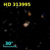 HD 313995