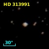 HD 313991