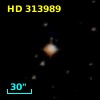 HD 313989