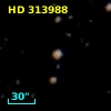 HD 313988