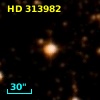 HD 313982