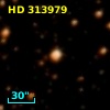 HD 313979