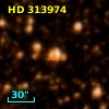 HD 313974