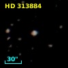HD 313884