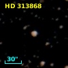 HD 313868