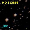 HD 313866