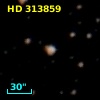 HD 313859