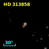 HD 313858