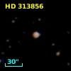HD 313856