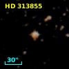 HD 313855