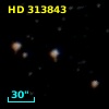 HD 313843